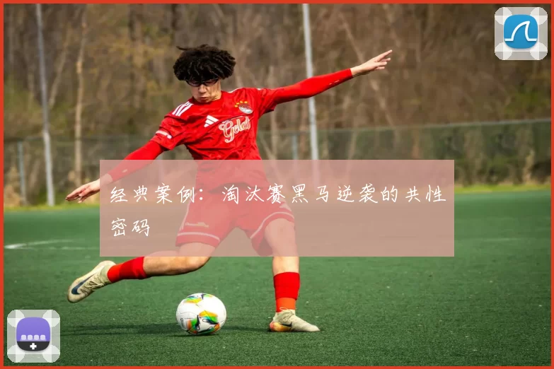 经典案例：淘汰赛黑马逆袭的共性密码