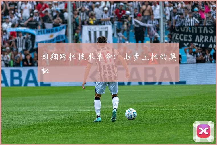 刘翔跨栏技术革命：七步上栏的奥秘